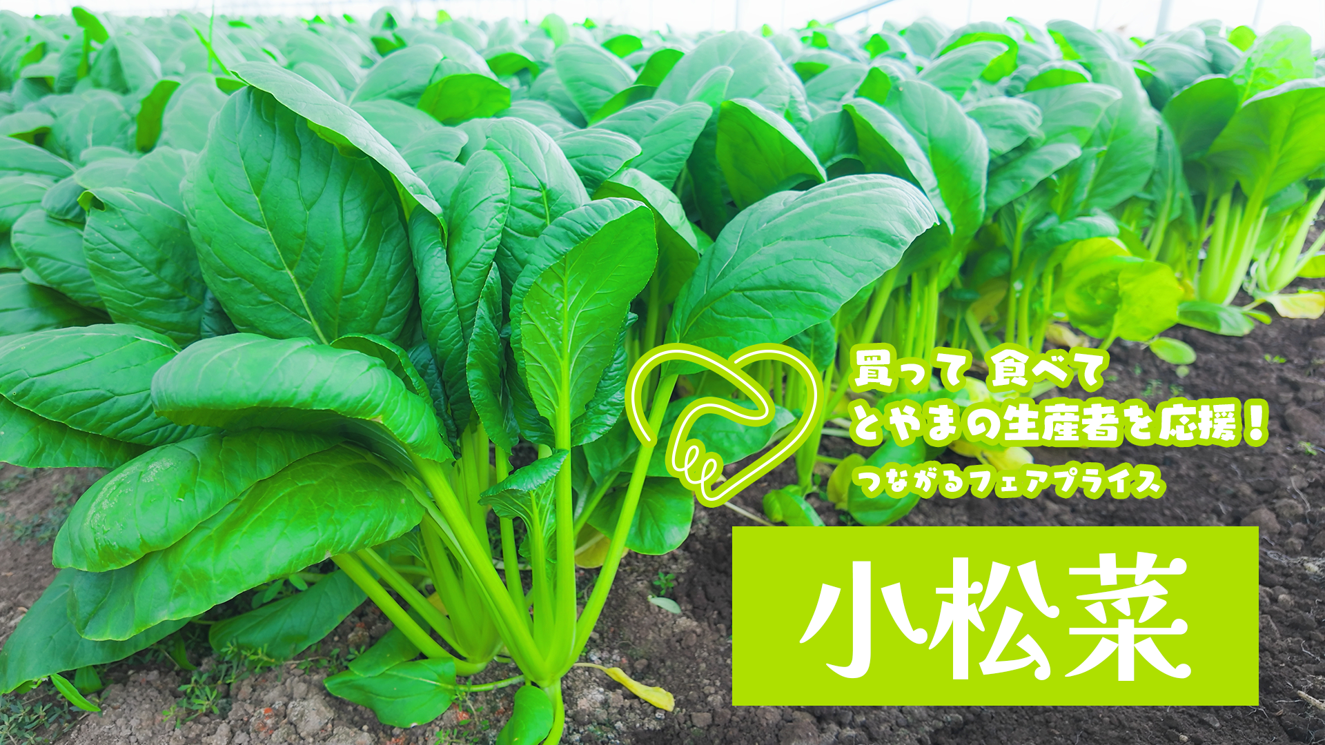 買って 食べて とやまの生産者を応援!