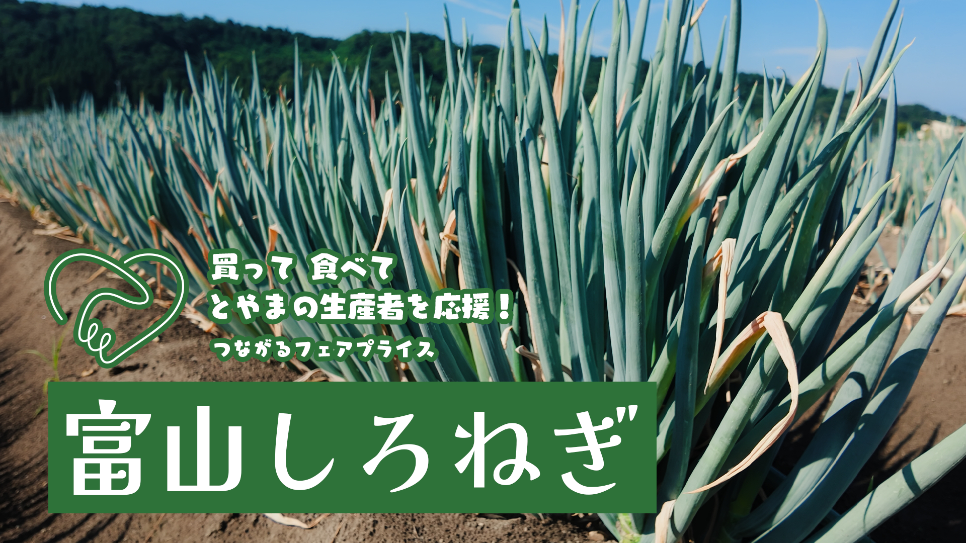 買って 食べて とやまの生産者を応援!